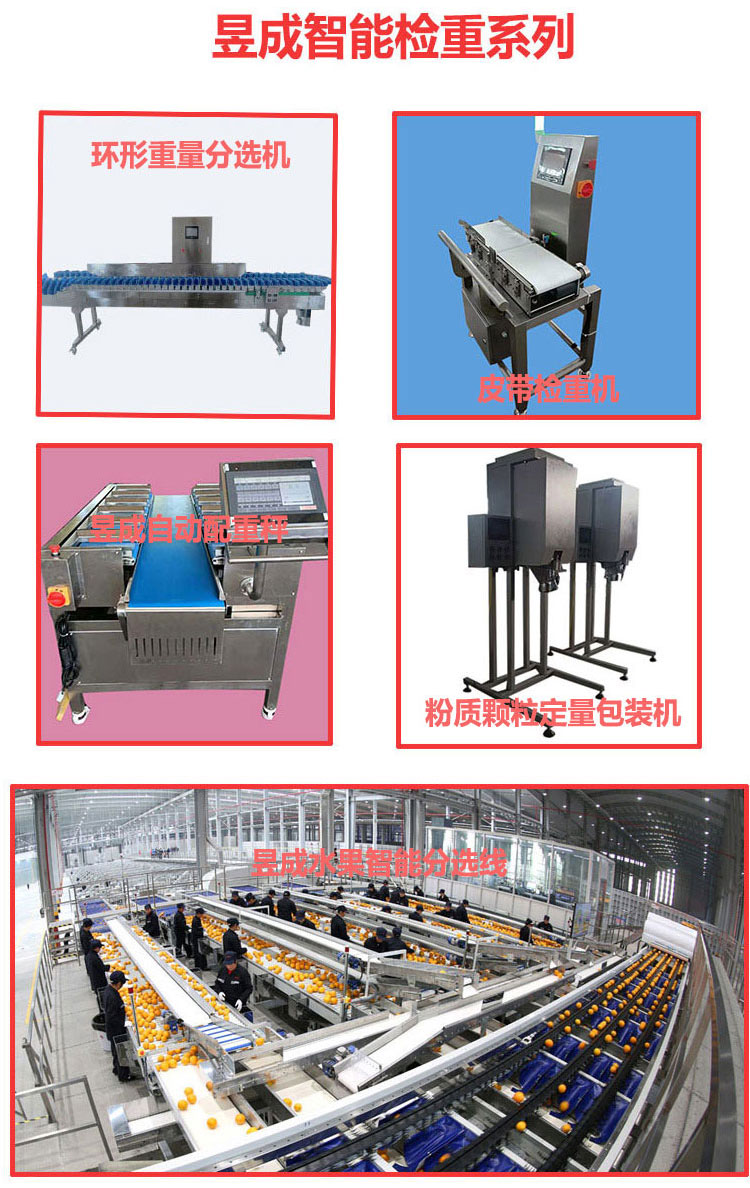 Yucheng customized chain conveyor, water tank type conveyor, large material hopper, climbing elevator, fish and seafood conveying equipment