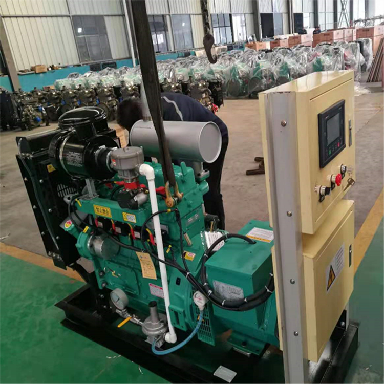 Blue light power supply biogas generator set, low-noise breeding industry, 50kw environmentally friendly gas generator