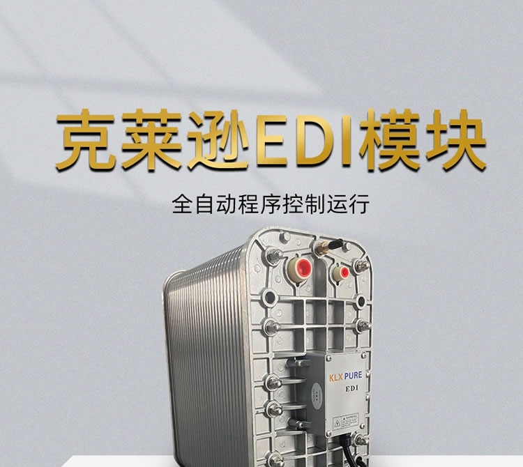 Maintenance of membrane stack of Clarison Ultrapure water EDI module direct drinking post deionization filtration two-stage reverse osmosis equipment