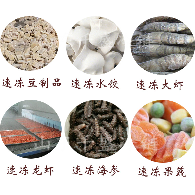 Cooked products, gluten and meat skewers, tunnel type quick freezing machine, multifunctional low-temperature quick freezing and fresh locking equipment, Qiansheng cold chain