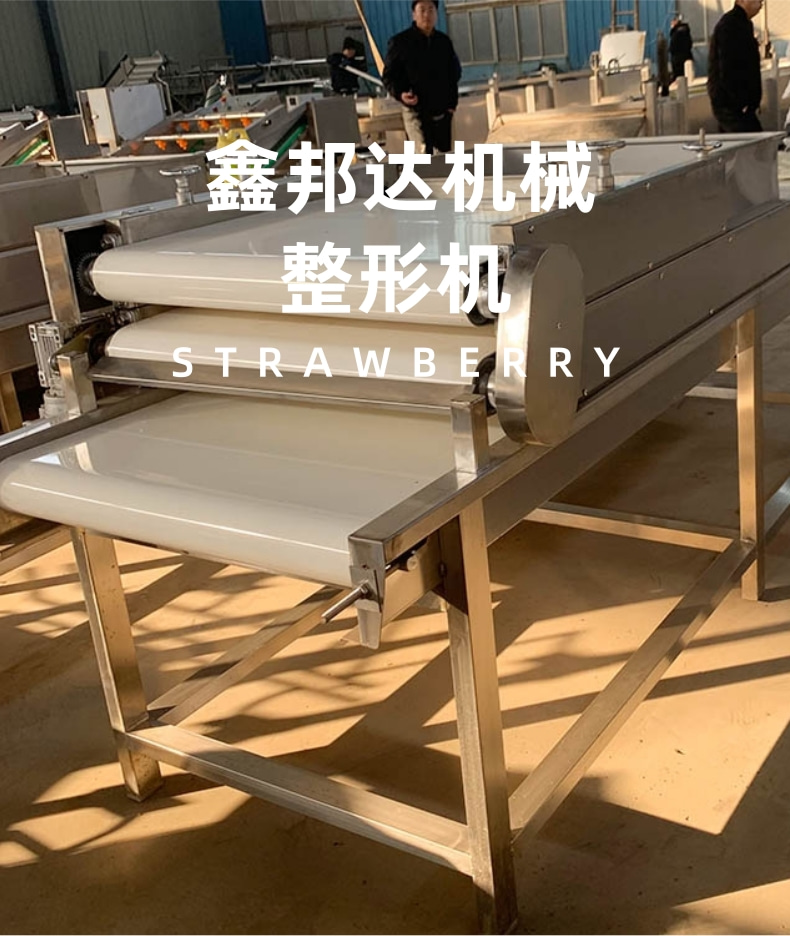 Continuous full-automatic food shaping machine Pickled vegetables potato powder bag flattening machine steel plate flexible packaging shaping equipment