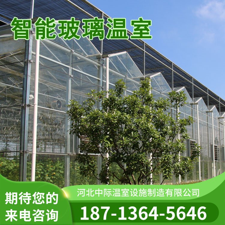蓝莓避雨棚造价 玻璃阳光板薄膜日光温室大棚 包工包料热镀锌