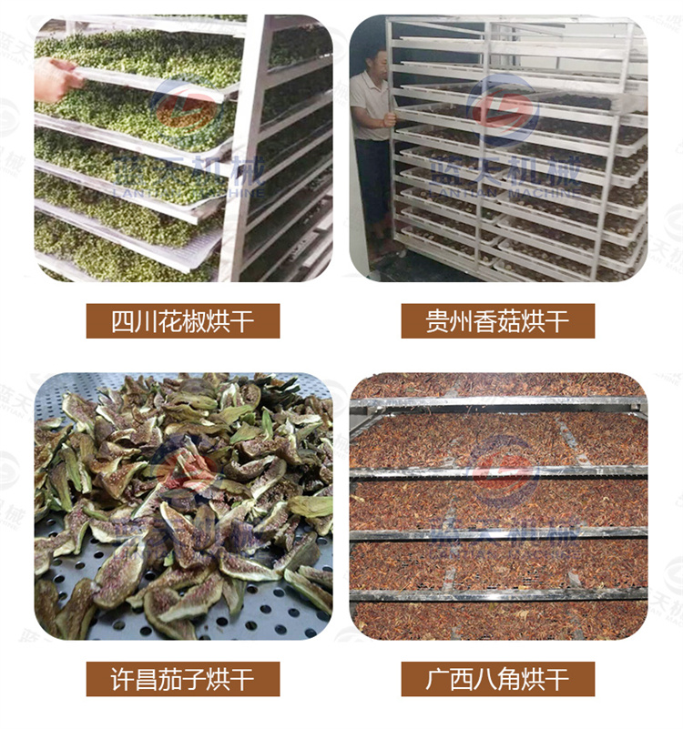 Cold air drying machine for cured meat, sausages, air drying room, hanging type, low-temperature cured meat, air drying equipment, air energy