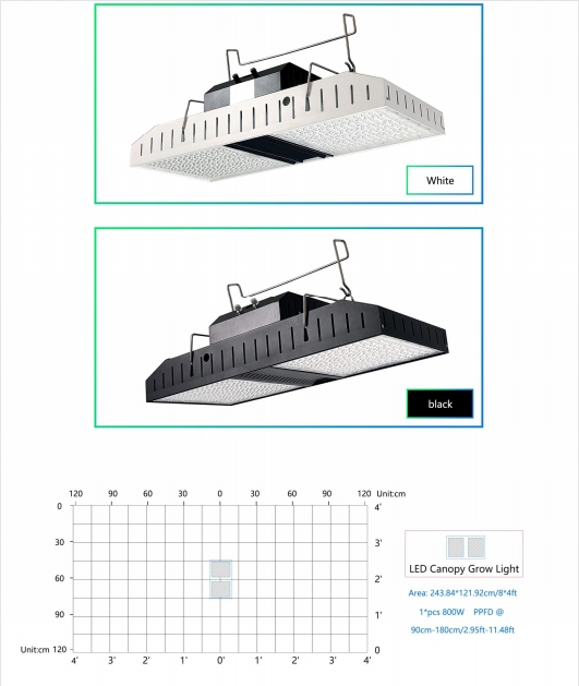 800W rooftop planting plants with strong lighting and wide radiation area provided by foreign growers