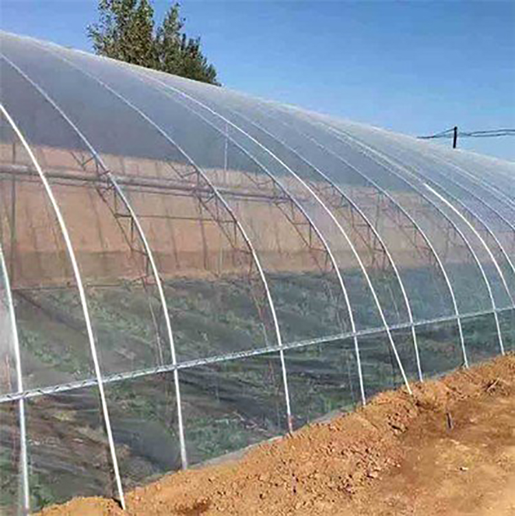 Shuaifeng Agricultural Greenhouse Film Polyethylene (PE) Greenhouse Film Vegetable Film Greenhouse Manufacturer Wholesale Customization