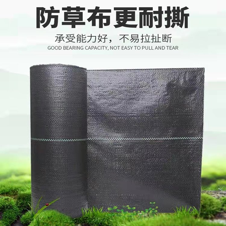 Manufacturer of Horticultural Land Cloth, Agricultural Greenhouse Greening Cloth, Black Grass Suppressing Cloth, Needle Needled Grass Preventing Cloth