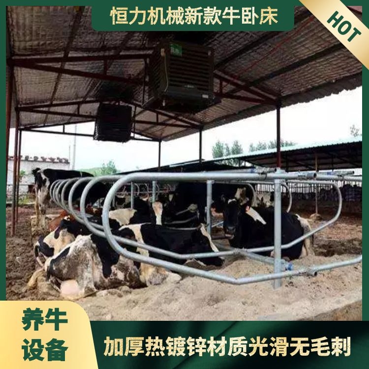 Thickened Cow Beds for Dairy Farms Hengli Brand Animal Husbandry Equipment Size of Cow Beds Made of Hot-dip Galvanized Material Cow Beds