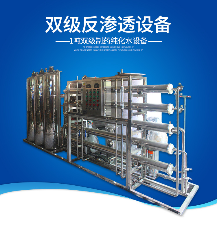 Two stage reverse osmosis equipment 2t pure water equipment Ultrapure water machine pharmaceutical purified water treatment equipment