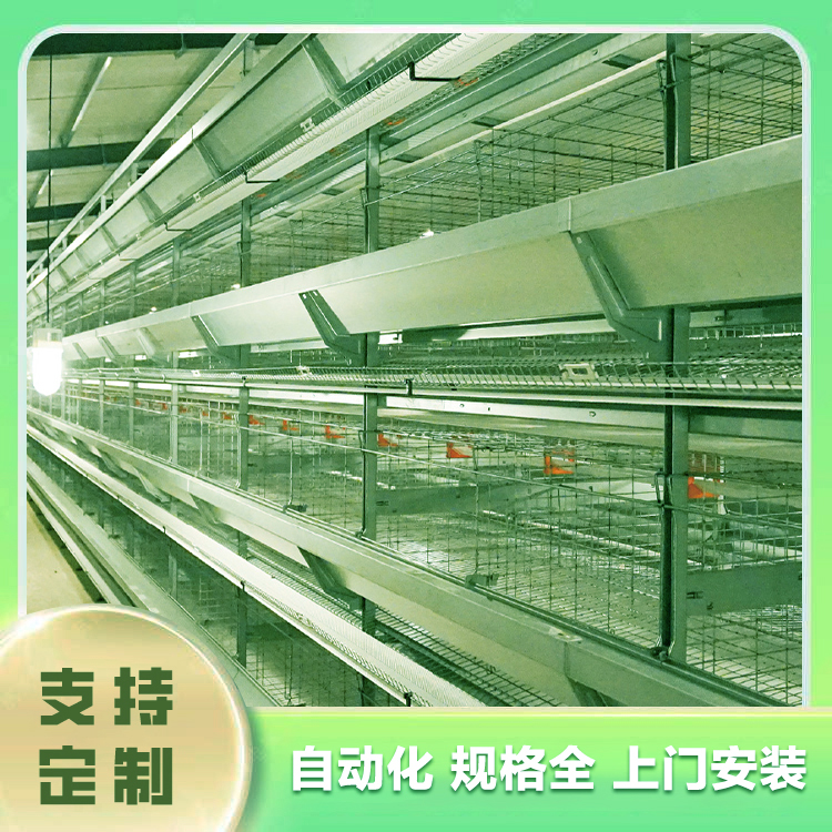 Large scale automated chicken farming equipment Linfen chicken farm equipment Linfen chicken farming equipment Layer chicken farming machinery Layer chicken meat chicken farming equipment What are the laboratory instruments in the chicken farm