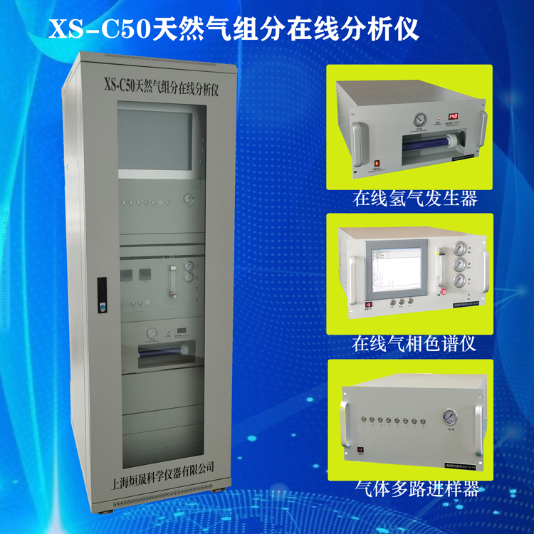 Online natural gas analysis Gas chromatograph Real time gas analysis cabinet Chromatograph online analysis system