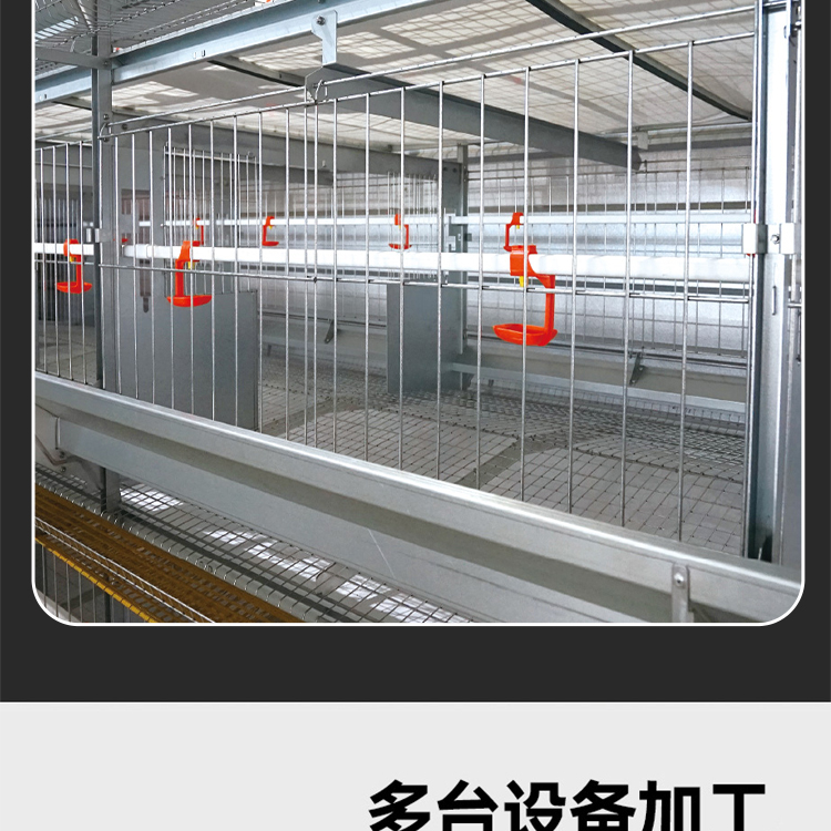 Equipment for the sewage treatment plant of the breeding farm. Quotation for fully automated chicken farming equipment in Rugao. Installation diagram for large scale chicken farming equipment in Rugao chicken farm