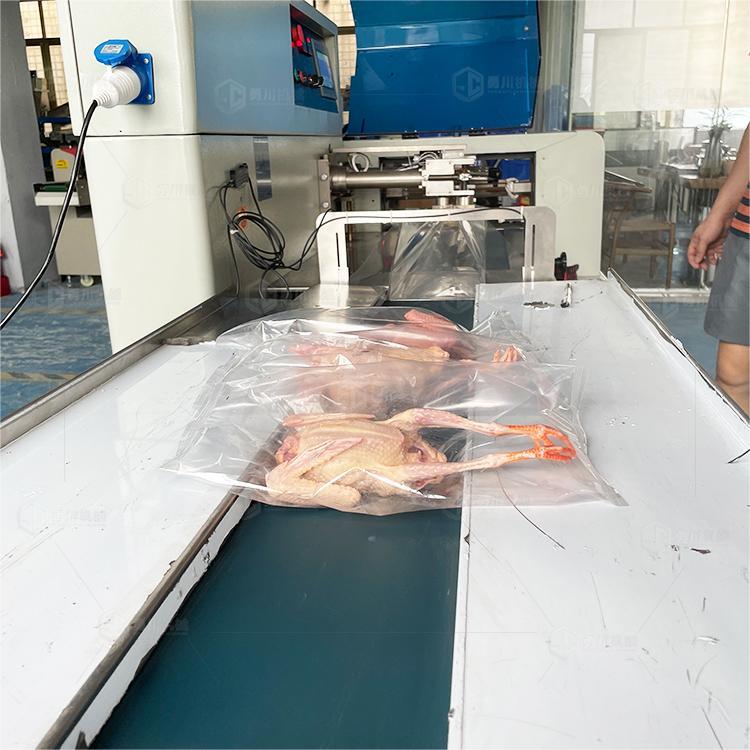 Iced Fresh Chicken Packaging Machine Model Yongchuan 600 Fresh Goose Bagging Machine Frozen Pigeon Preservation Packaging Equipment