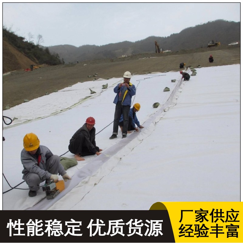 Composite geomembrane, multi cloth, multi film, lotus pond, fish pond, landscape, and lake anti-seepage membrane support customization