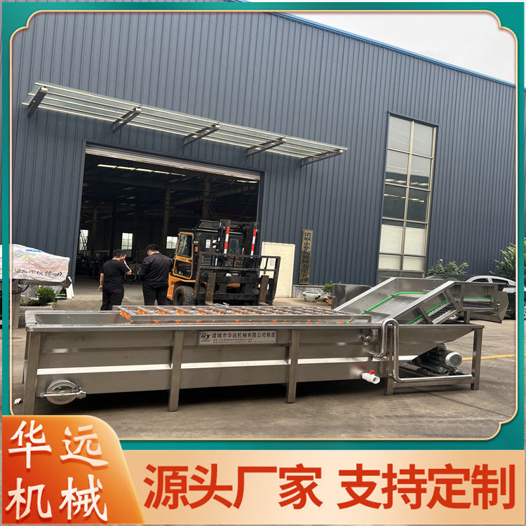 Large chestnut cleaning machine, bamboo shoot cleaning and desalination equipment, vegetable desalination machine HY-85