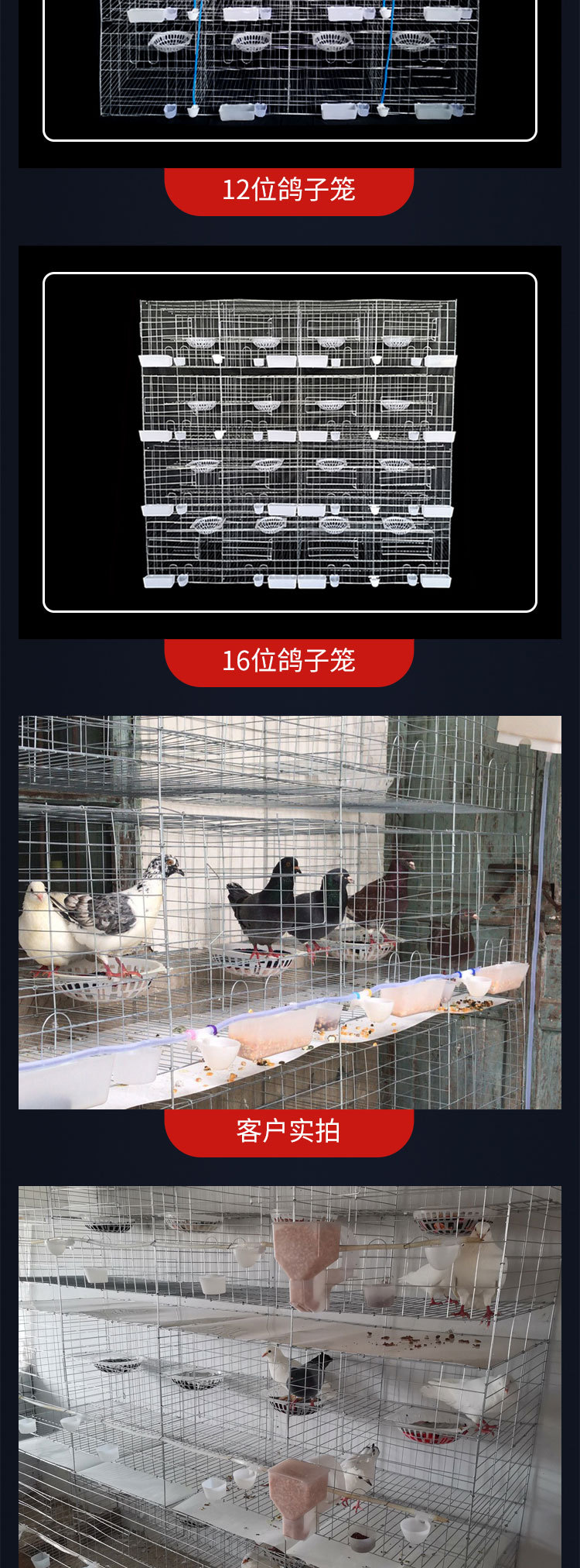 Pigeon cage breeding cage, 12 positions, 16 positions, breeding pigeons, meat pigeons, egg pigeons, paired cages, nests, and cages customized with bold and heavy weights