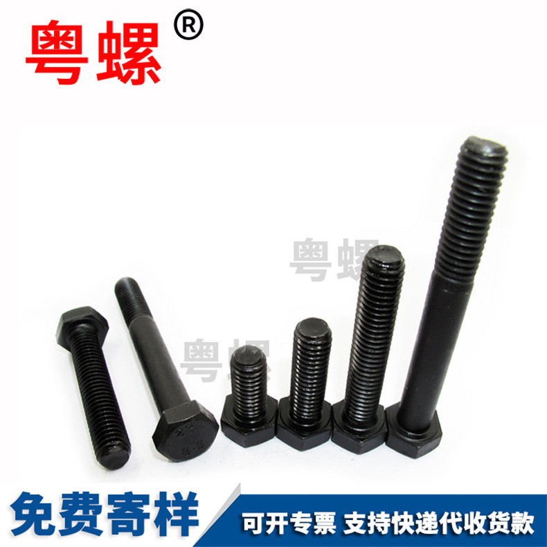 Guangdong Screw Wholesale Wall plug, car repair, gecko tension screw, elevator Wall plug