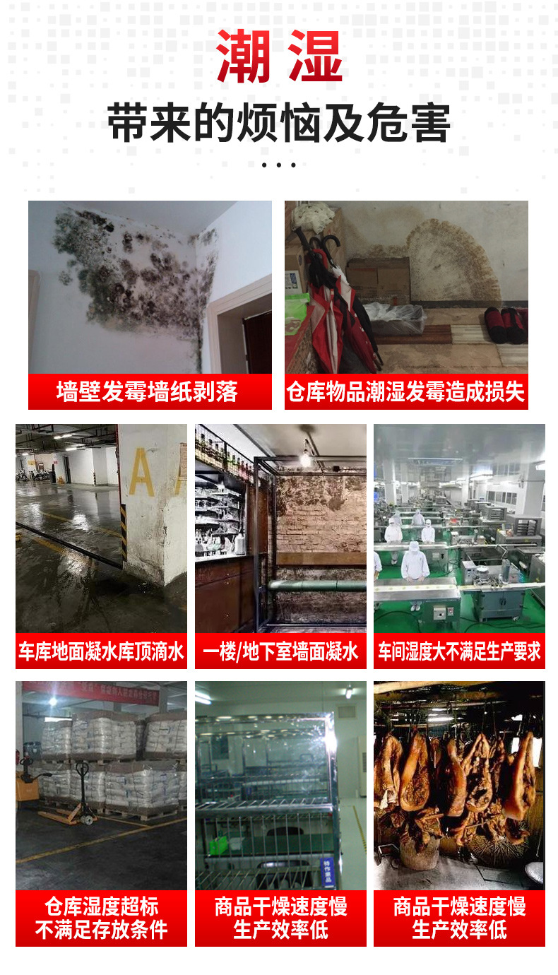 Industrial dehumidifier high-power Ruiwang warehouse basement dehumidifier for commercial use