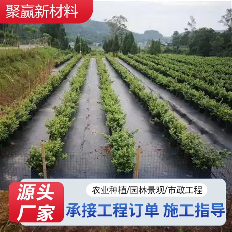 大棚温室蔬菜大棚专用防草布 防潮抑虫透气地布