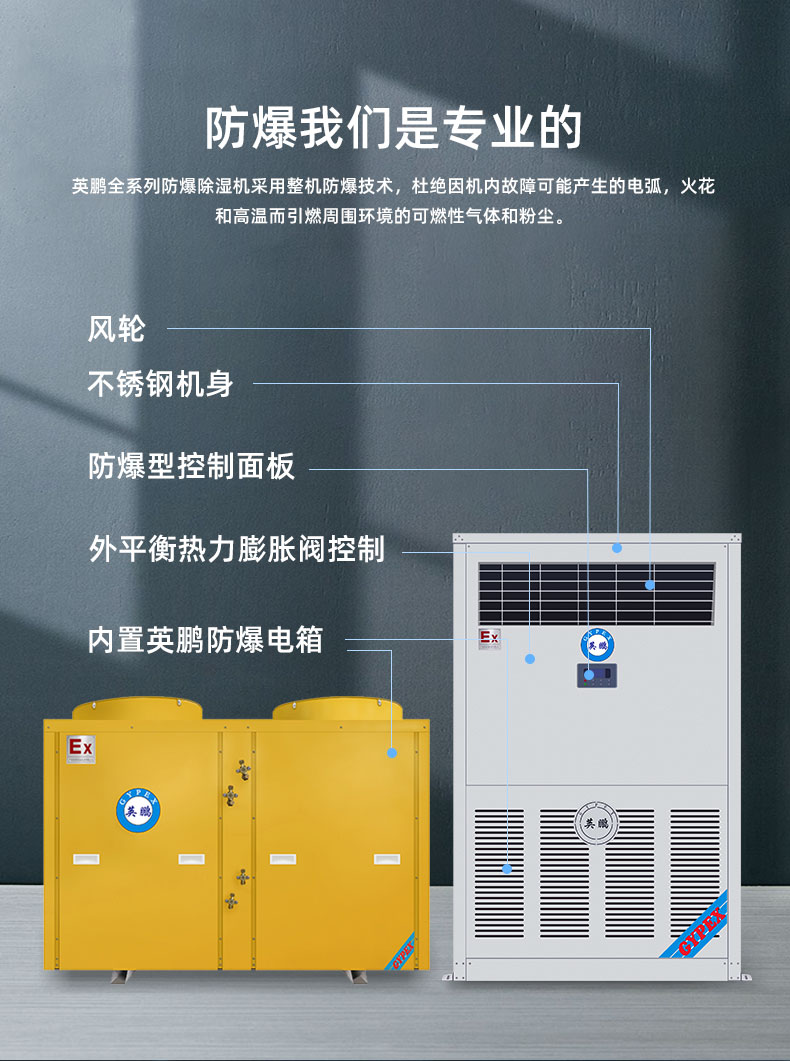 Yingpeng Explosion proof Cooling Dehumidifier Industrial Dehumidifier BCF-20CJ (G) Dehumidifying capacity 20kg/h 380V