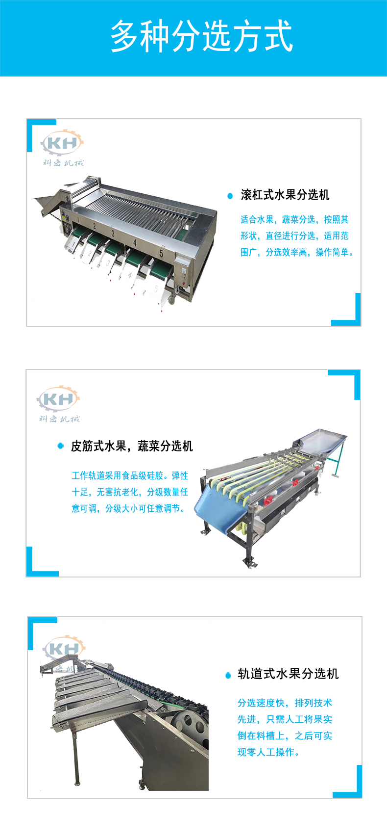 Apple, orange, peach rotary weight classifier automatic intelligent weighing and sorting machine melon, fruit and vegetable sorting machine