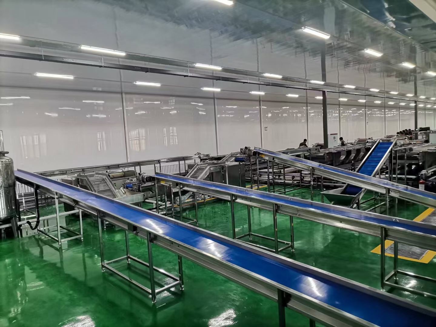 Jihan Dried Apple, Dried Dried mango, Dried Peach, Dried Pear and Preserved Fruit Production Line Air drying fully automatic