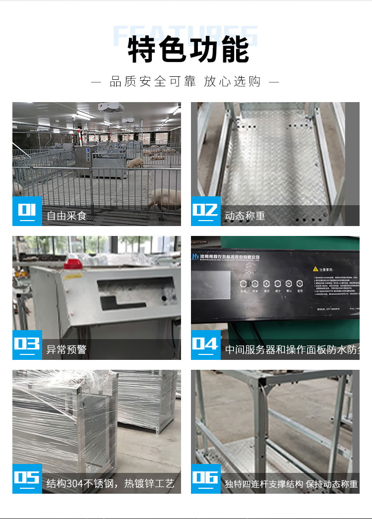 Precision Feeding Equipment Pig Production Performance Measurement System Fully Intelligent Integrated Pig Raising System