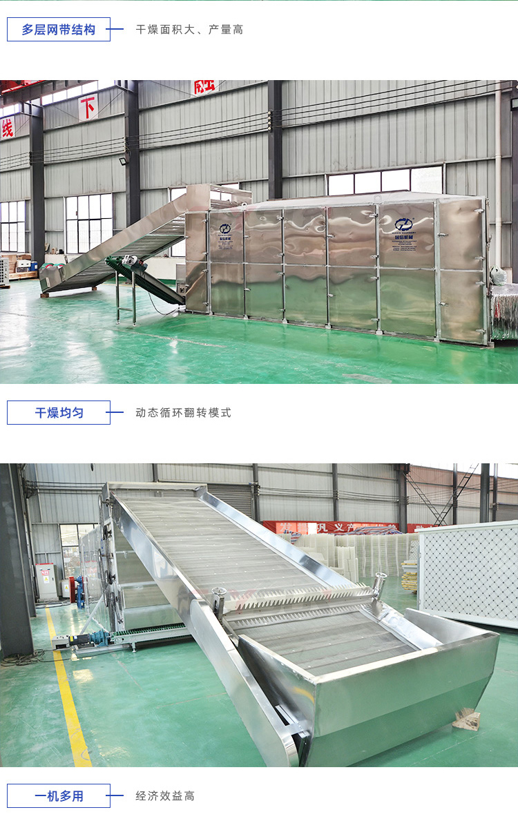 Guoxin Large Traditional Chinese Medicine Drying Machine Fully Automatic Traditional Chinese Medicine Drying Equipment Dihuang Yuzhu Drying Equipment