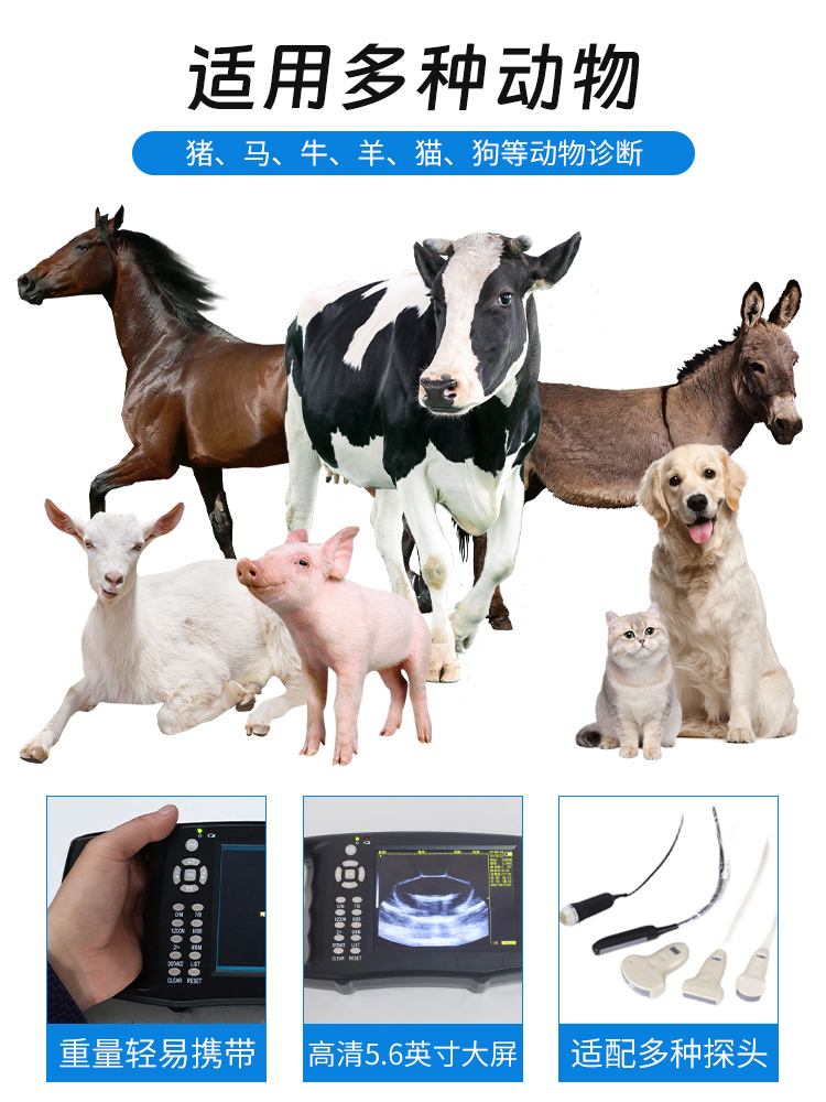 Animal B-ultrasound livestock B-ultrasound machine (Tc-300) for cattle and sheep in breeding farms