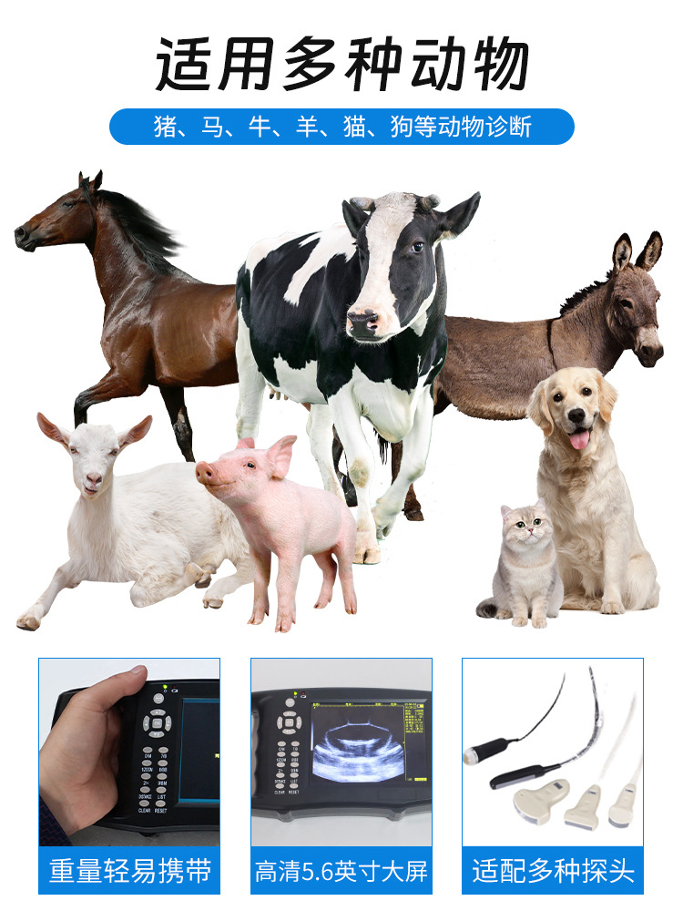 Tianchi Zhuoda Veterinary B-ultrasound Machine TC-X2 Handheld Pig, Horse, Cow, and Sheep B-ultrasound Detector Integrated Waterproof