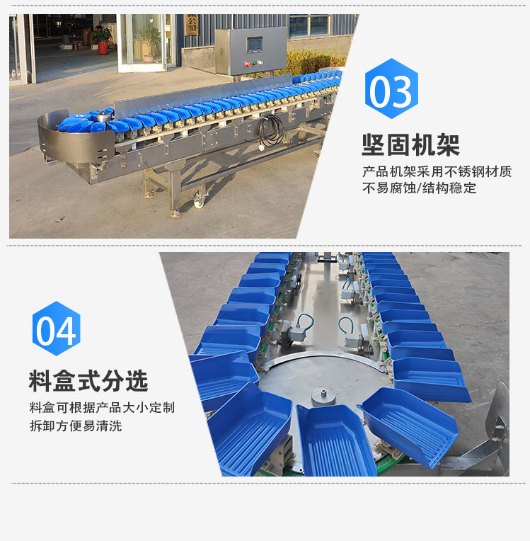 Sea cucumber sorting machine, dynamic weighing of dry and wet seafood, multi-stage sorting, high-precision 0.5 gram error stainless steel