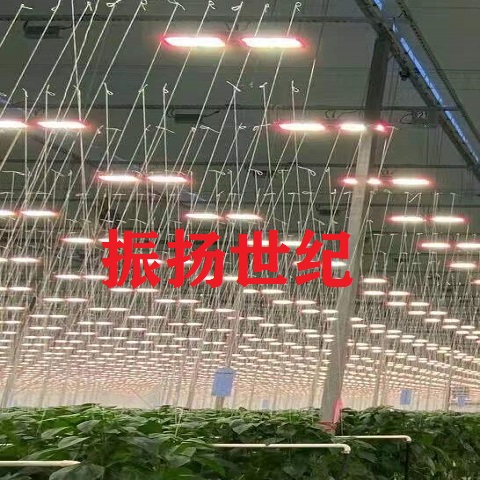 Gavita CT 1930e LED greenhouse fill light plant light American large M light Canadian hemp light