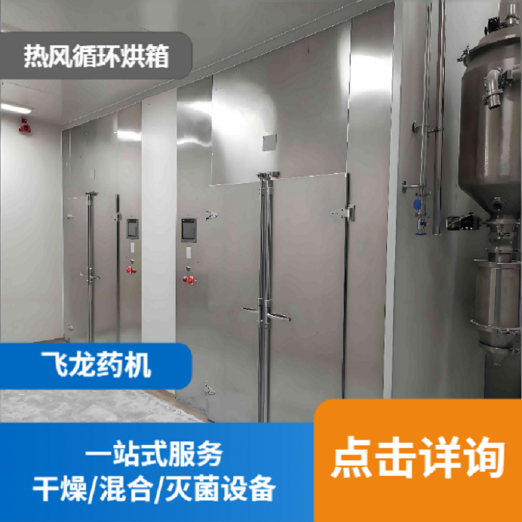 飞龙 热风循环烘箱厂家 用于制药行业 电加热烘干机 效率高