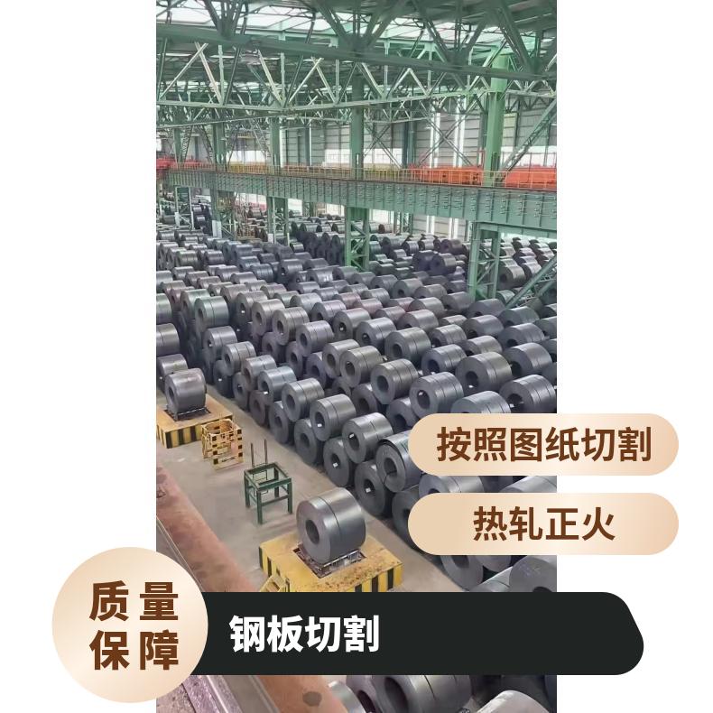 NM500耐磨钢 武钢中厚板 8-100mm 规格材质齐全 可切割定尺加工