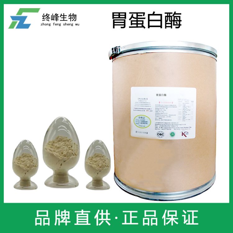 胃蛋白酶 食用添加剂厂家供应 食品级生物酶制剂