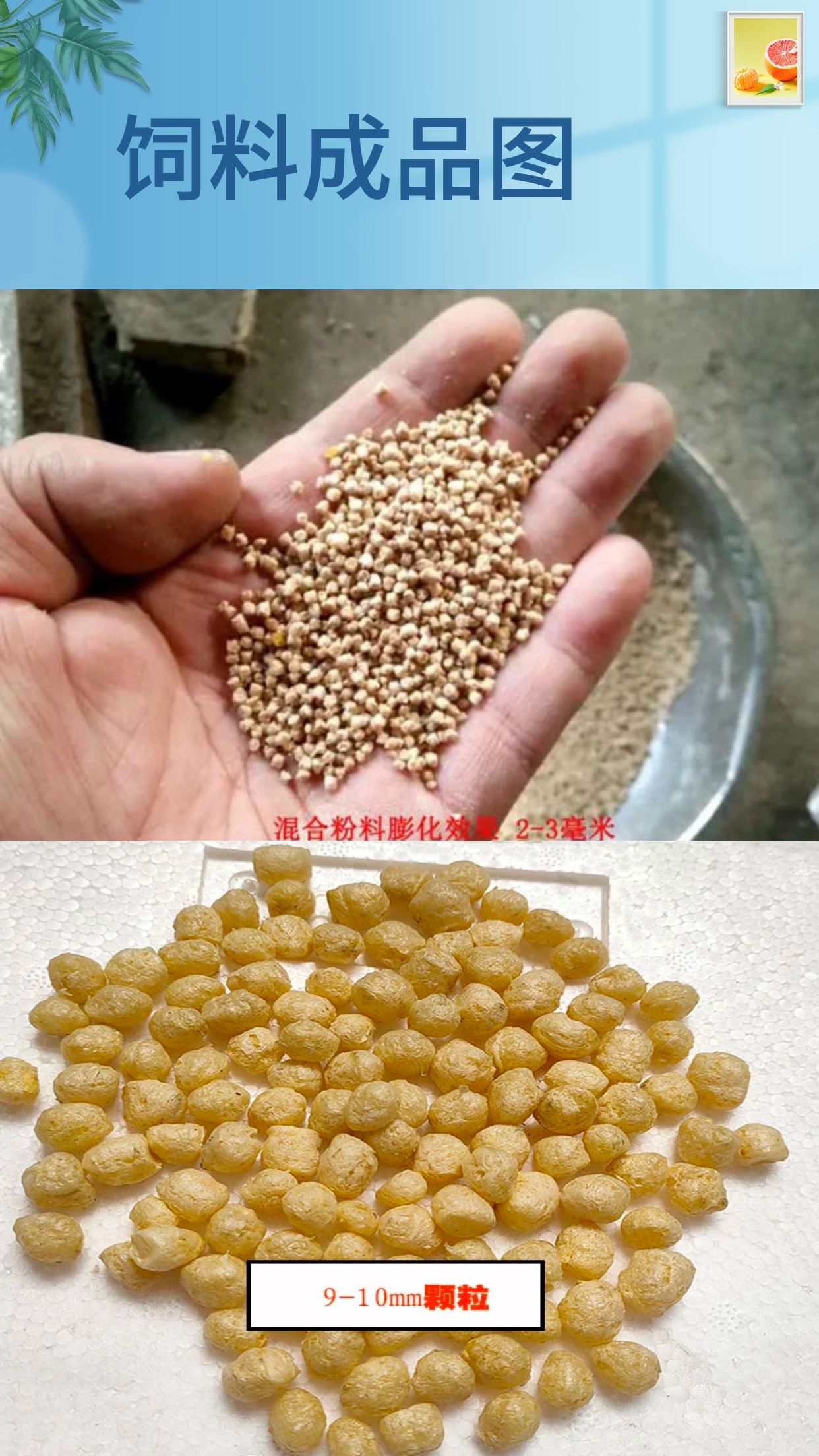 Expander for fish and shrimp farming, feed granulator manufacturer provides small spherical particle ripening equipment