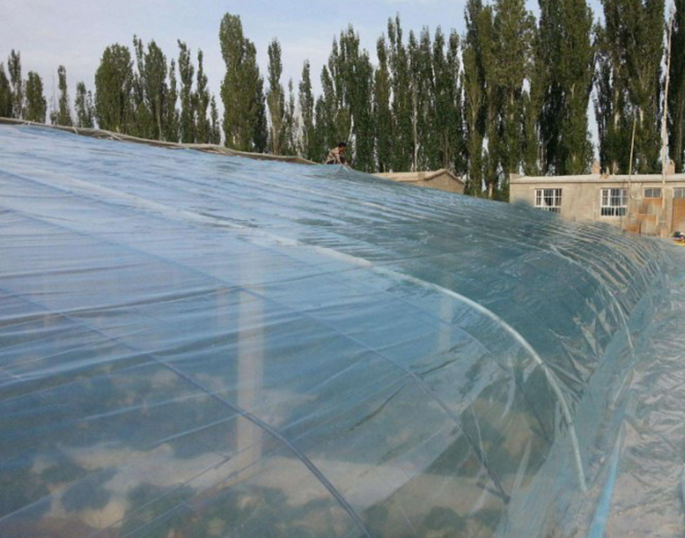 Shuaifeng Agricultural Greenhouse Film Polyethylene (PE) Greenhouse Film Vegetable Film Greenhouse Manufacturer Wholesale Customization