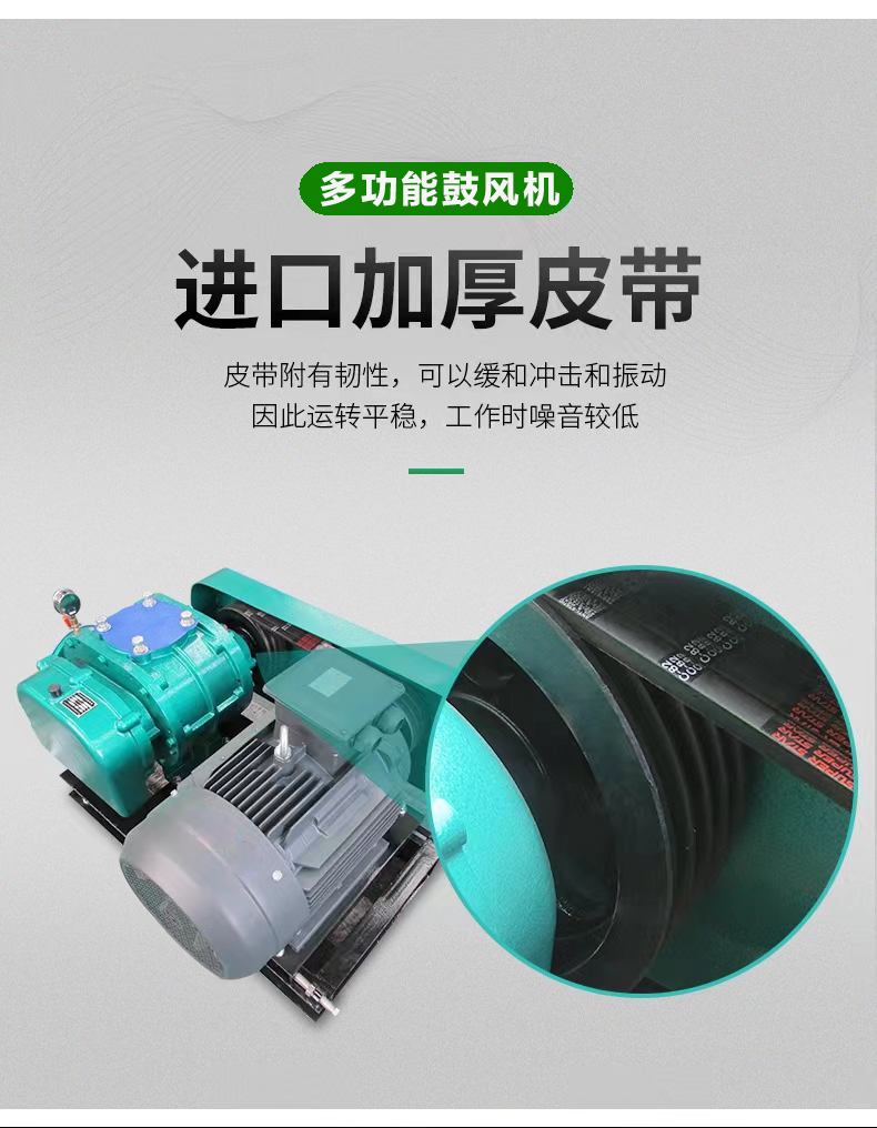 Roots blower for powder conveying (cement, feed, small flakes)