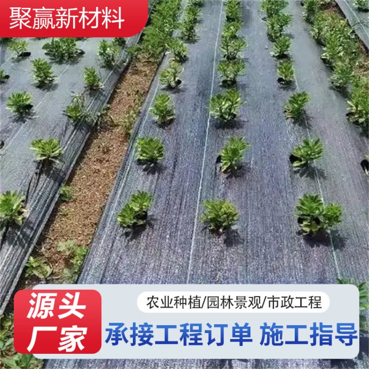大棚温室蔬菜大棚专用防草布 防潮抑虫透气地布