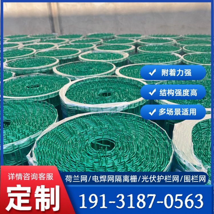 工程荷兰网 焊接网隔离栅 浸塑附着力强 防腐防锈 结构稳固
