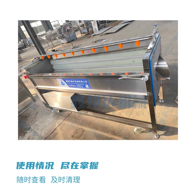 Xinbangda Fish Scaling Cleaning Machine Stainless Steel Codonopsis Ginseng Potato Hair Roller Cleaning and Peeling Machine