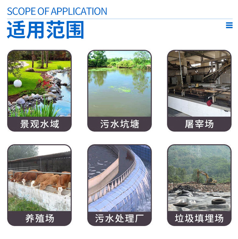 Plant liquid deodorizer for aquaculture, industrial kitchen waste, sewage treatment plant, Jingtian