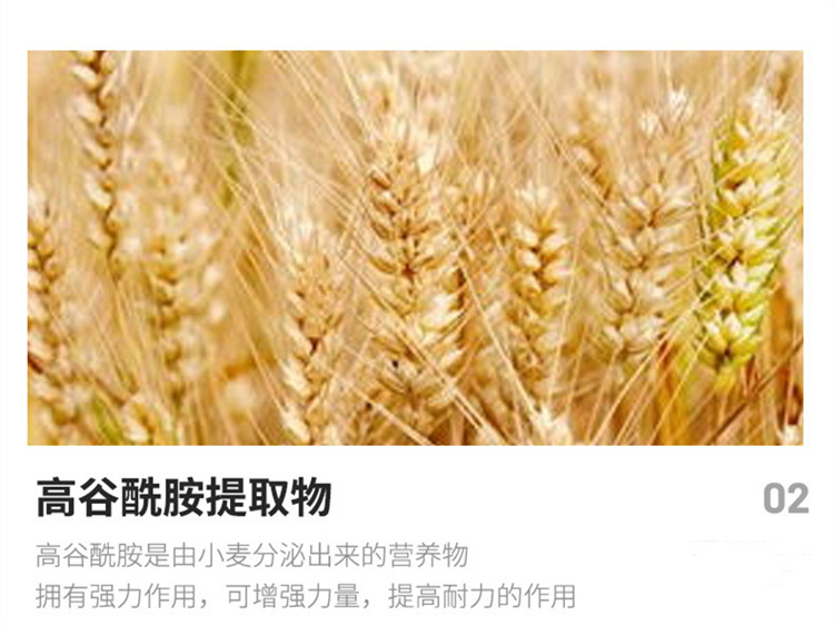 Baiqianhui Supply Wheat Oligopeptide Wheat Extract Small Molecular Peptide Food Grade Wheat Peptide Powder