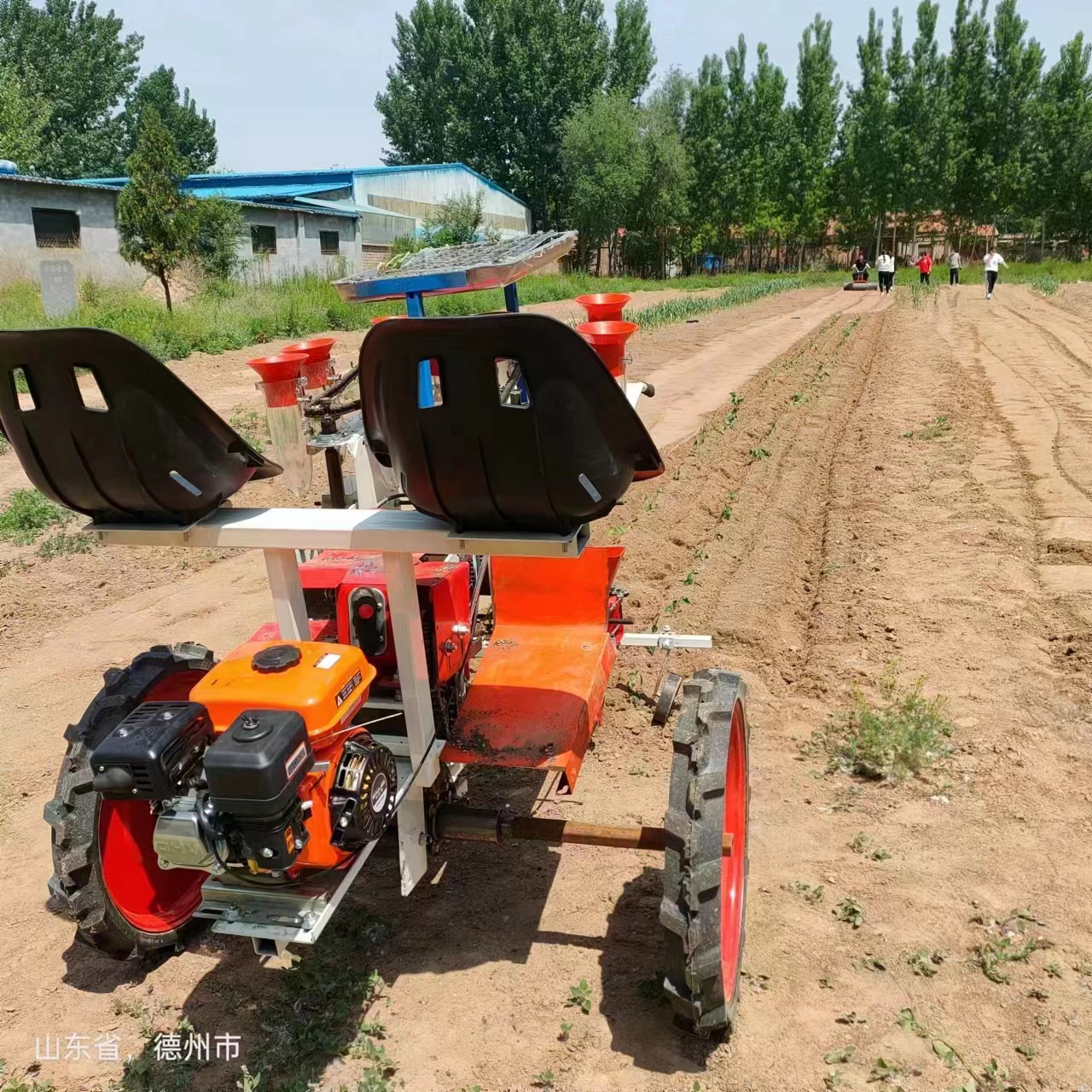 New self-propelled agricultural seedling transplanter, greenhouse seedling planter, tractor equipped transplanter