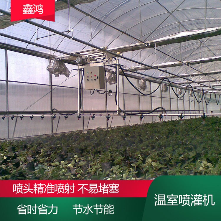 Greenhouse track self-propelled remote control seedling watering machine with automatic back and forth movable nozzle for precise spraying