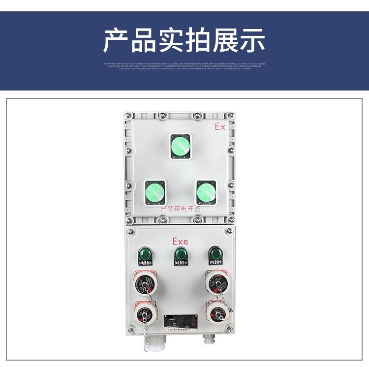 防爆配电箱照明动力检修开关柜不锈钢碳钢控制插座接线按钮箱空箱