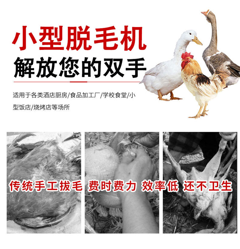 Stainless steel Haoze easy installation SMR for chicken, duck, and goose cylindrical hair removal machine used in breeding farms