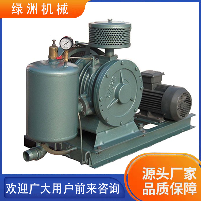 Supply of Air Source for Xinoasis Food Packaging Blow Air Small Sewage Treatment Project Aeration Rotary Fan