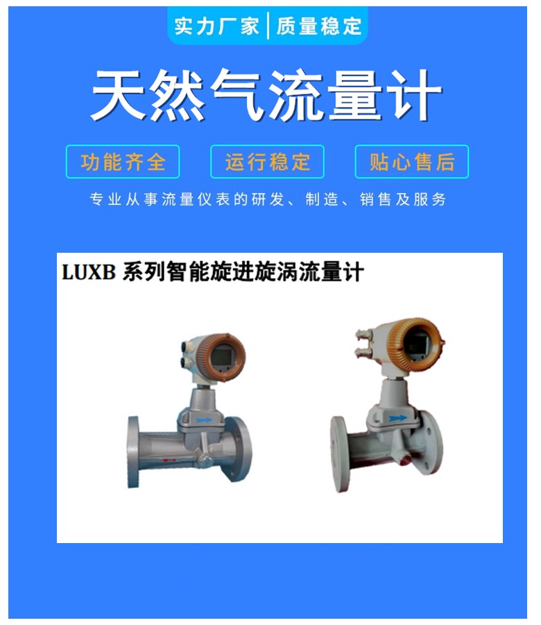 Intelligent precession vortex flowmeter for natural gas dedicated LUXB gas metering supply Brooks