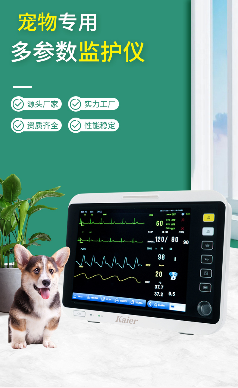 Animal heart rate, blood oxygen, and blood pressure monitoring equipment supplied by manufacturers for pet hospitals