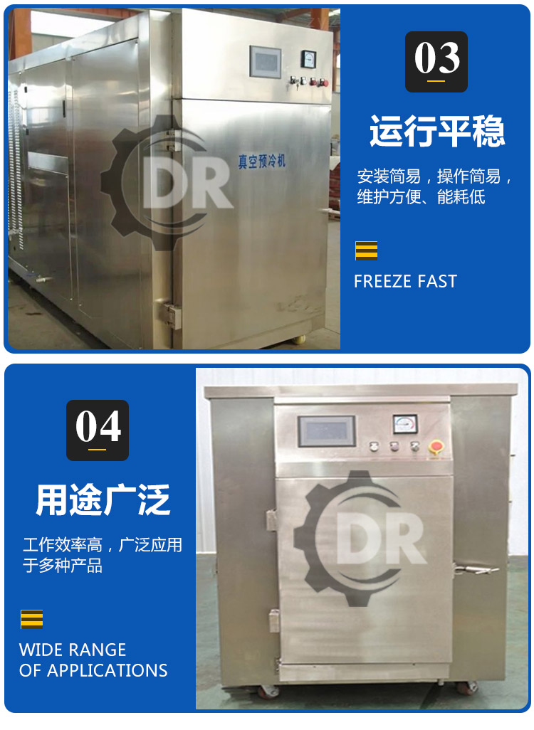 Deren Machinery Matsutake Freeze Drying Equipment Small Vacuum Freeze Drying Machine Cold Trap Device Widely Used